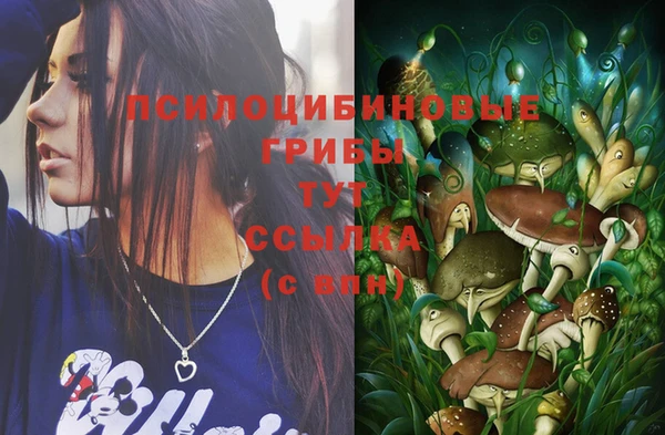 спайс Абинск