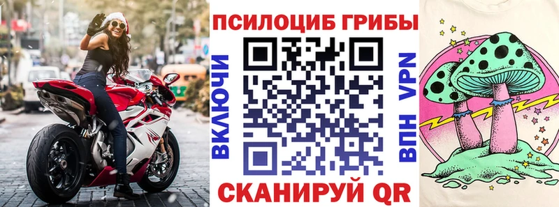 shop формула  Дивногорск  Псилоцибиновые грибы Cubensis 
