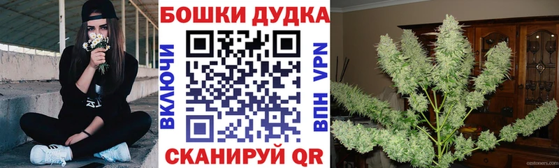 Бошки Шишки Bruce Banner  Дивногорск 